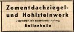 Zementziegel+Hohlstein.jpg