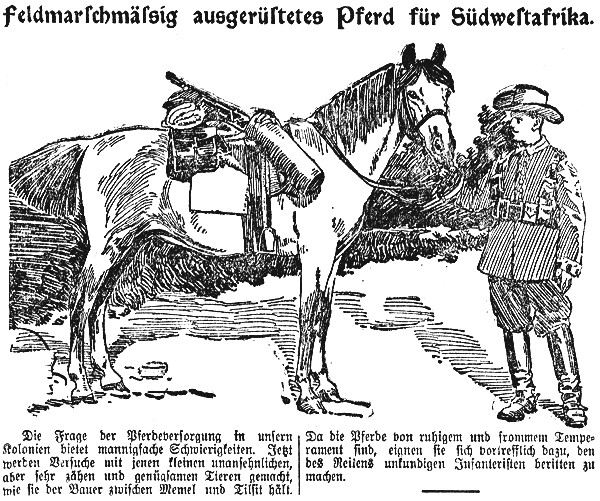 Datei:1904-07-23 354a Pferd.jpg