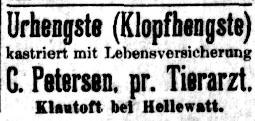 Datei:09 1916.05.10-Klopfhengste kastrieren.jpg