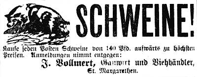 Datei:1915-11-23 0392a Schweine.jpg