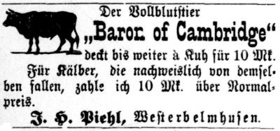 Datei:1891.12.03-Nochmal Baron of Cambridge.jpg
