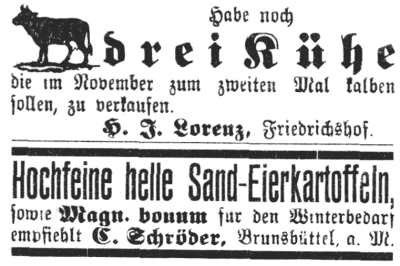 Datei:1897-11-02 298a Sand Eierkartoffeln.jpg