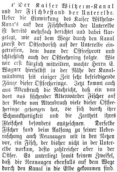 Datei:1904-06-11 281a Fischbestand.jpg