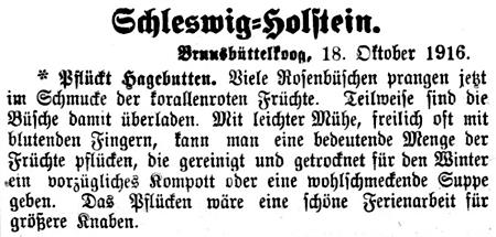 Datei:28 1916.10.18-Hagebutten pflücken.jpg