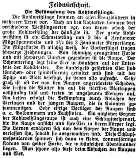 Datei:27 1916.07.25-Der Kohlweissling.jpg