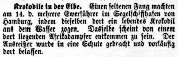 Datei:1888.08.23-Krokodil in der Elbe.jpg