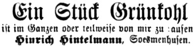 Datei:1894-11-27gray0164a Ein Stück Grünkohl.jpg