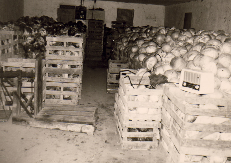 Datei:071 Gaertnerei Messtorff (GM).jpg