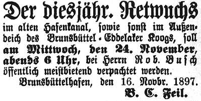 Datei:1897-11-18 332a Reetwuchs.jpg