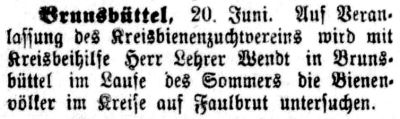 Datei:1914.06.22-Bienen-Faulbrut.jpg