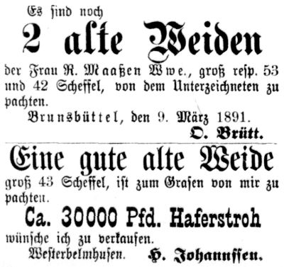Datei:1891.03.14.-Weiden und Haferstroh.jpg
