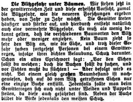 Datei:19 1916.08.16-Blitz und Baeume.jpg