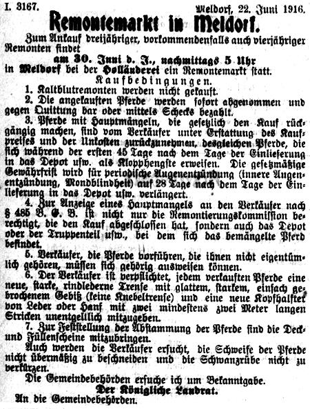 Datei:25 1916.06.24-Remontemarkt in Meldorf.jpg