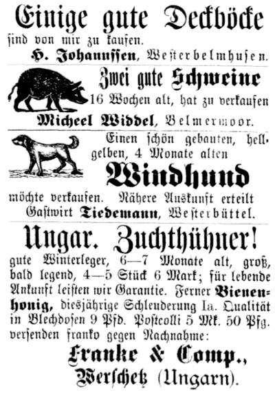 Datei:1891.09.10-Viecher zu verkaufen.jpg