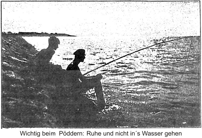 Datei:Aale pöddern-1.jpg