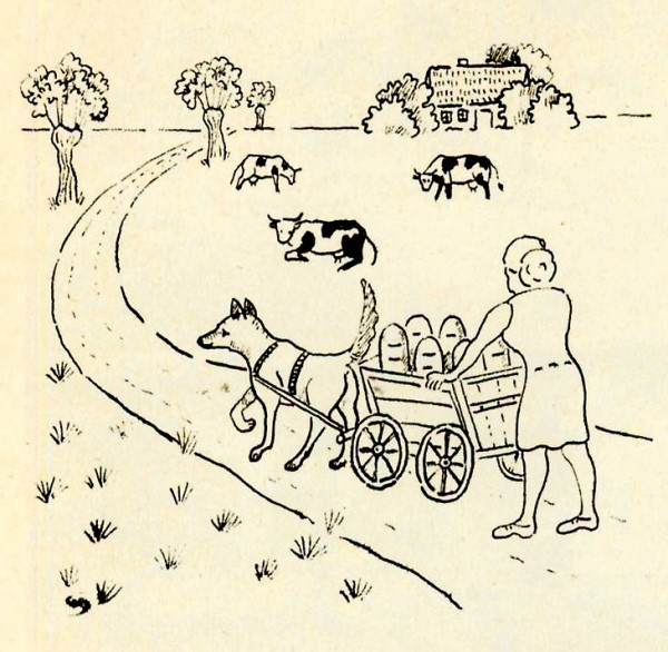 Datei:Hundegespann Reiff.jpg