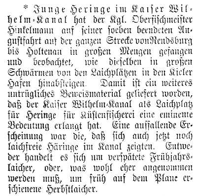 Datei:1902-08-14 270a Heringe.jpg