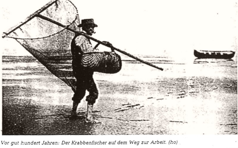 Datei:Krabbenfang-4a.jpg