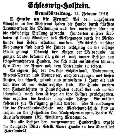 Datei:1918-02-14 496a Hunde an die Front.jpg