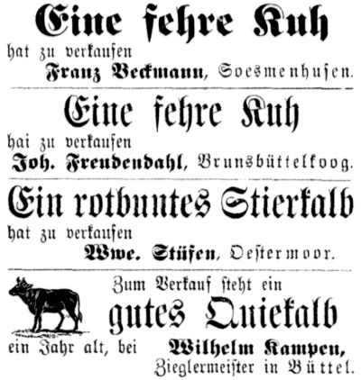 Datei:1891.02.26.-Fehre Kühe.jpg