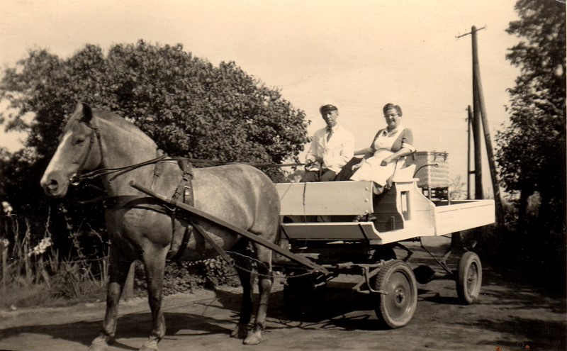 Datei:Willy+Anna Lohse.jpg