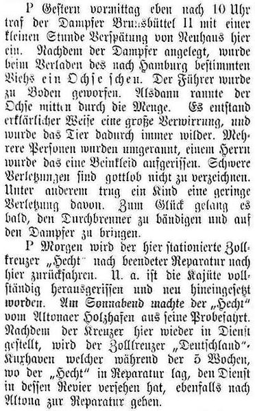 Datei:1902-08-05 254a Ochse.jpg