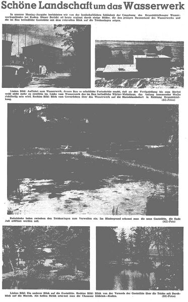 Datei:1959-06-26 0350 Schöne Landschaft.jpg