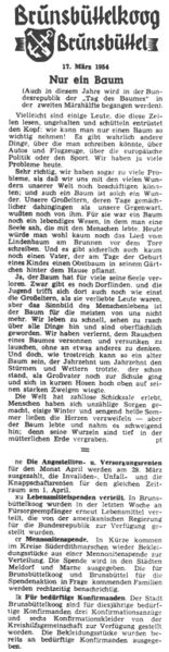 Datei:1954-03-17-223 Nur ein Baum.jpg