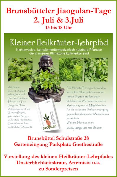 Datei:Plakat mR.jpg
