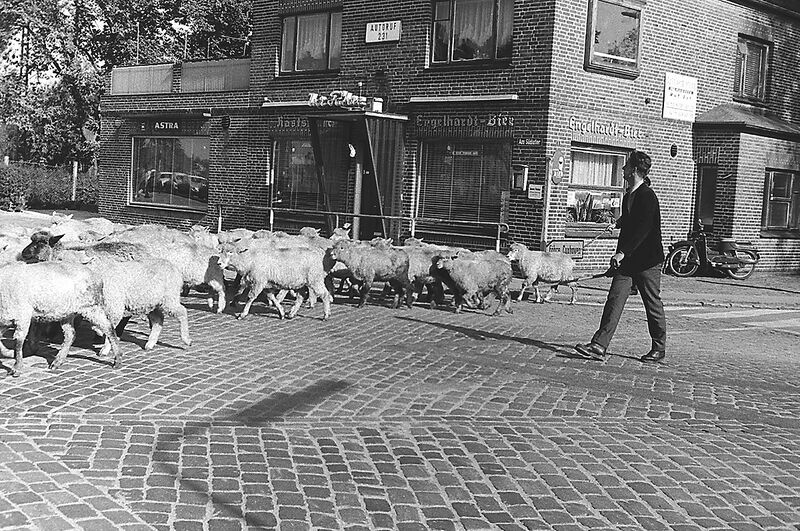 Datei:17-O3 7.3.10 (459).JPG