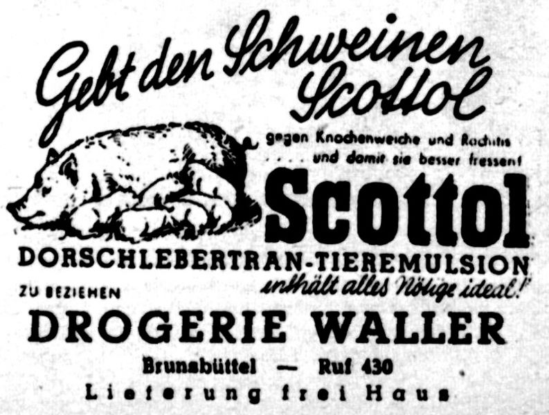 Datei:1951.03.25-Waller.jpg