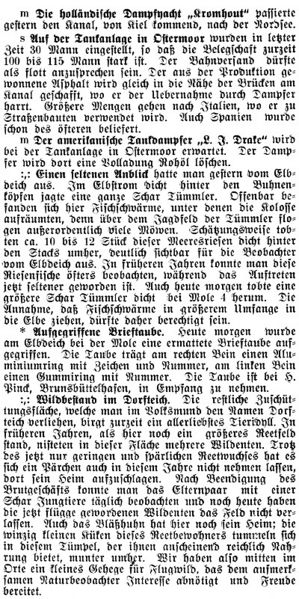 Datei:1930-07-04 221 Tümmler.jpg