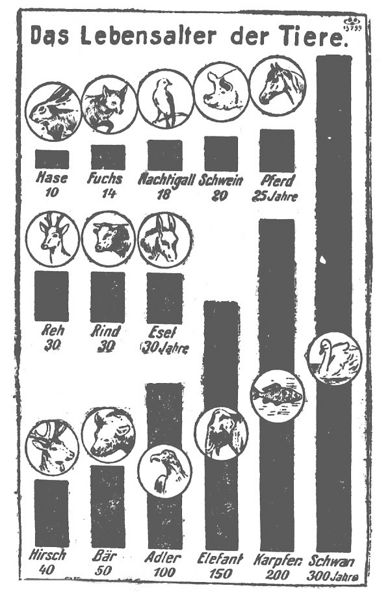 Datei:1924-06-24 097a Lebensalter der Tiere.jpg