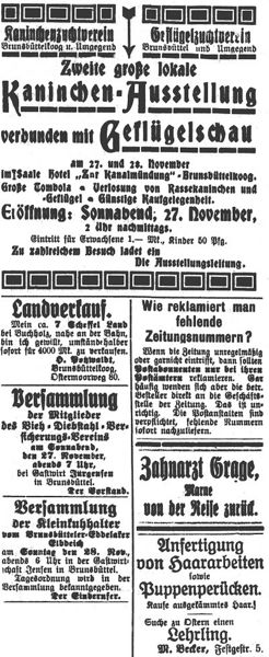 Datei:1920-11-26 263a Kaninchen.jpg