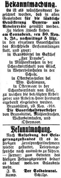 Datei:1918-11-26 311a Wahl.jpg