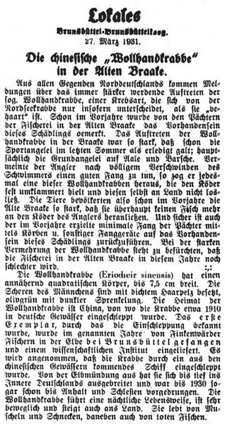 Datei:1931-03-27 489 Wollhandkrabbe.jpg