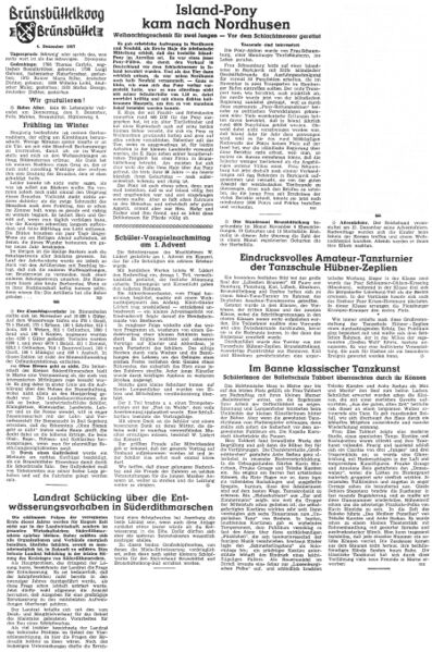 Datei:1957-12-04 0178 Island Pony.jpg