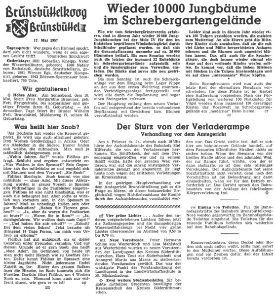 Datei:1957-05-17 131 Jungbäume.jpg