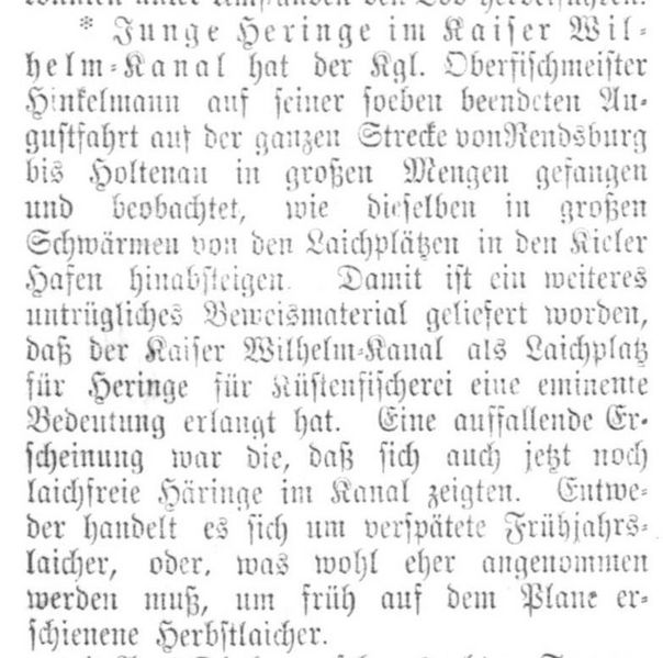 Datei:1902-08-14gray0270 Heringe.jpg