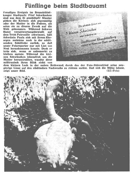 Datei:1959-06-06 0280 Stadtbauamt.jpg